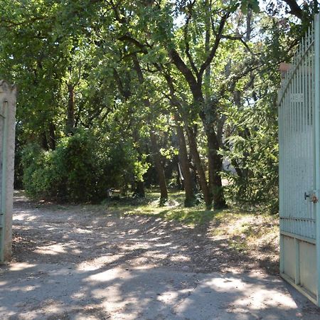 La Petite Sardine Bed & Breakfast Lirac Bagian luar foto